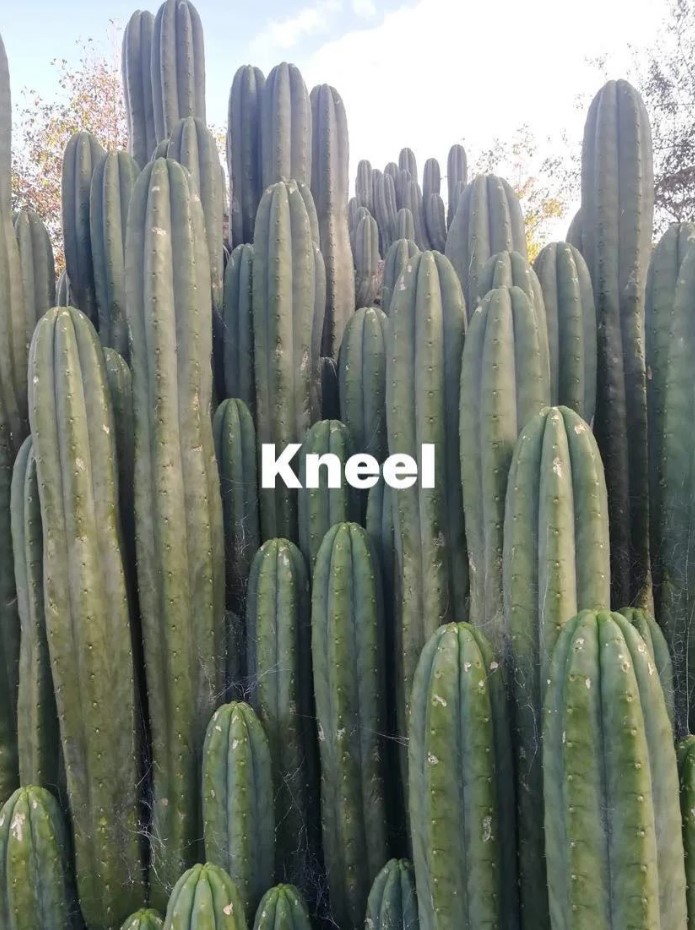 Kneel 1.jpg